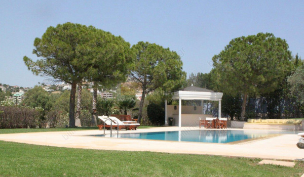 Εξωτερική όψη - Outdoor view